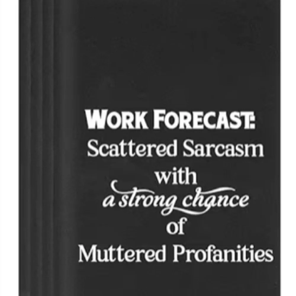 💕5/25💕Sarcastic Quote Notebooks